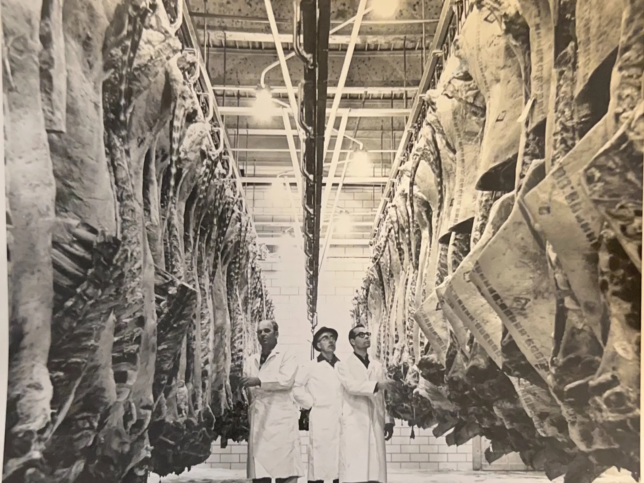 Black and white photo of Weeks Food slaughterhouse